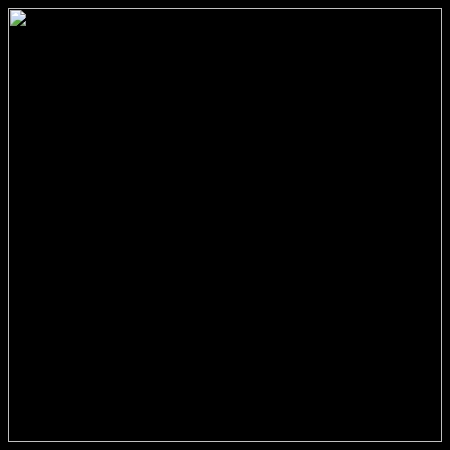 Inscription #67294327